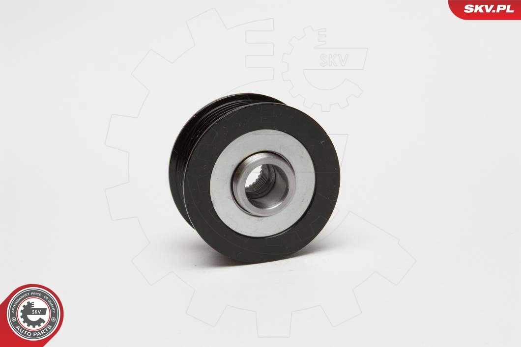 Alternator Freewheel Clutch